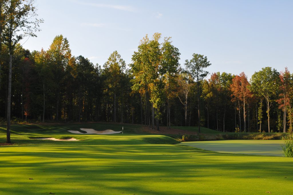 The Green Monster at The Federal Club before PondHawk solar powered pond aeration system was installed