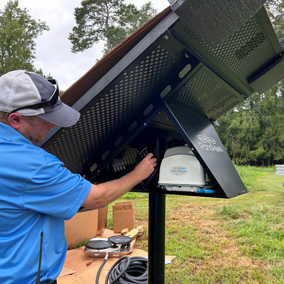 pondhawk-behind-enclosure-sq